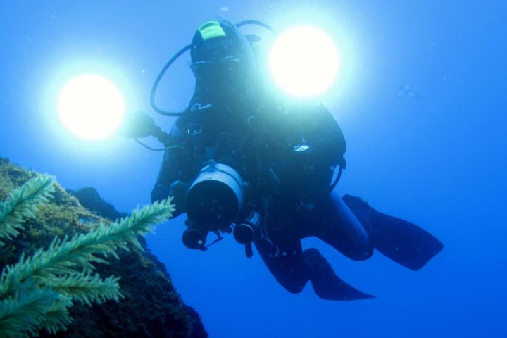 a person swimming underwater