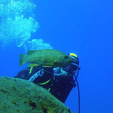 a person swimming underwater
