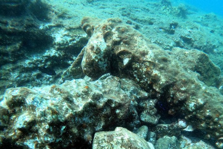underwater view of a large rock