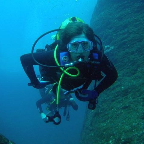 a person swimming in the water