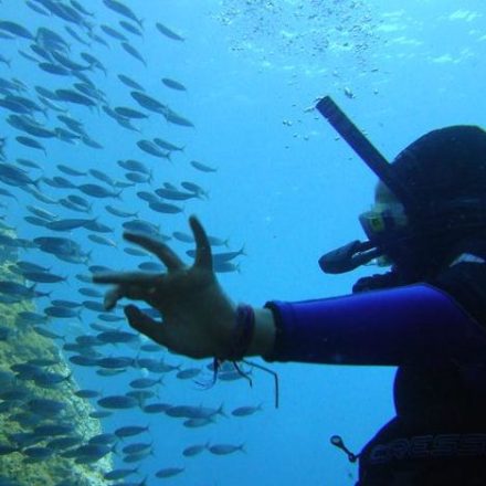 a person swimming in the water