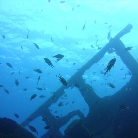 a man in a swimming pool