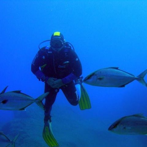 a group of people are underwater