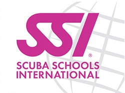 logo_ssi_2_0 (1) a drawing of a face