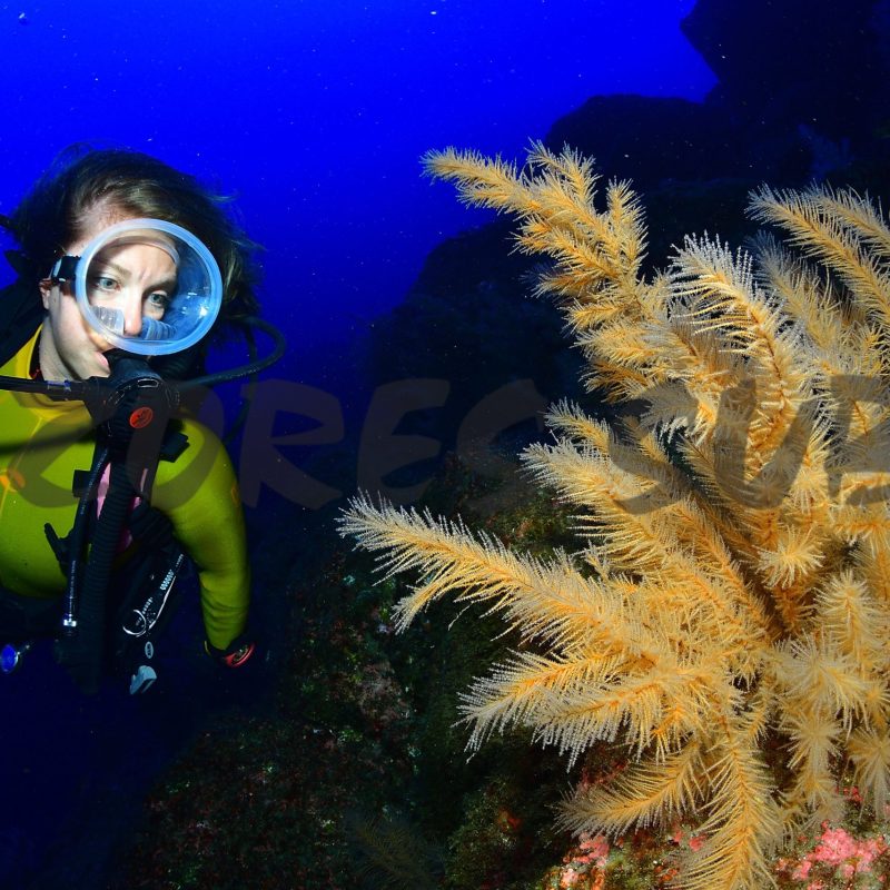 a person posing for the camera