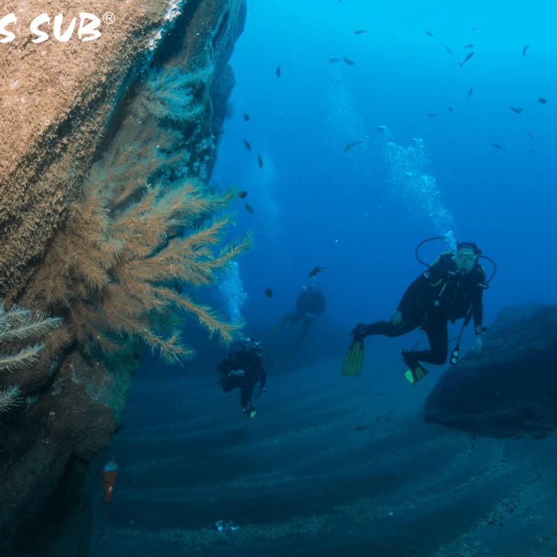 a man swimming in the water