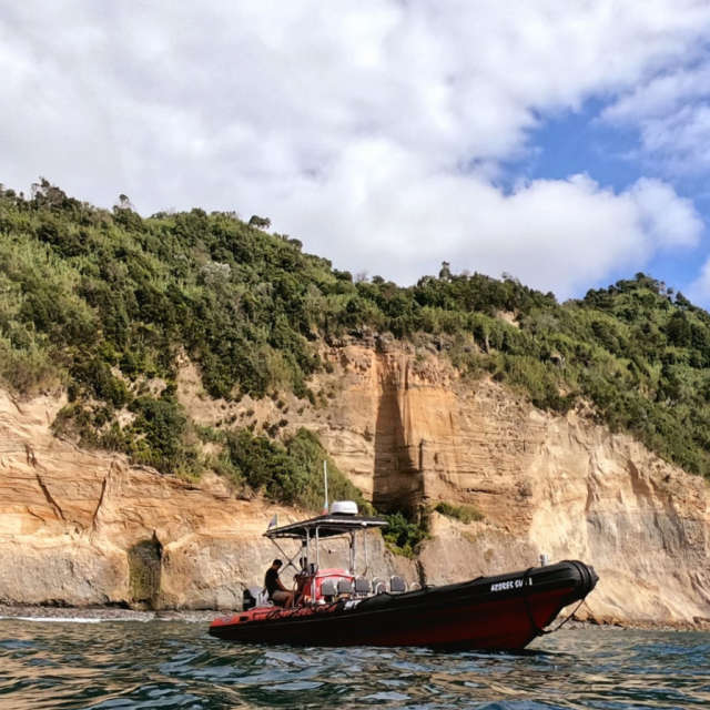 AZ DIVE CENTER_BestPhotos-2024 (2) AZ DIVE CENTER_BestPhotos-2024 (2)