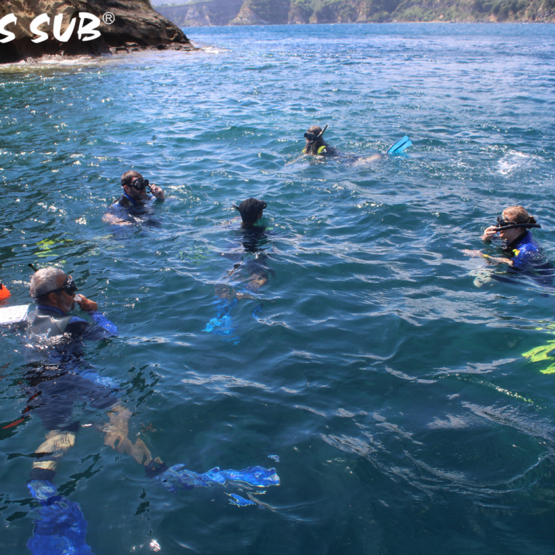 a group of people swimming in a body of water