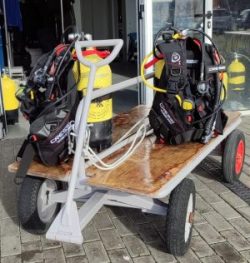 Imagem WhatsApp 2025-04-01 às 09.20.47_db5f47a8 Imagem WhatsApp 2025-04-01 às 09.20.47_db5f47a8